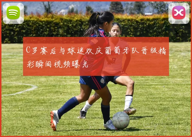 C罗赛后与球迷欢庆葡萄牙队晋级精彩瞬间视频曝光